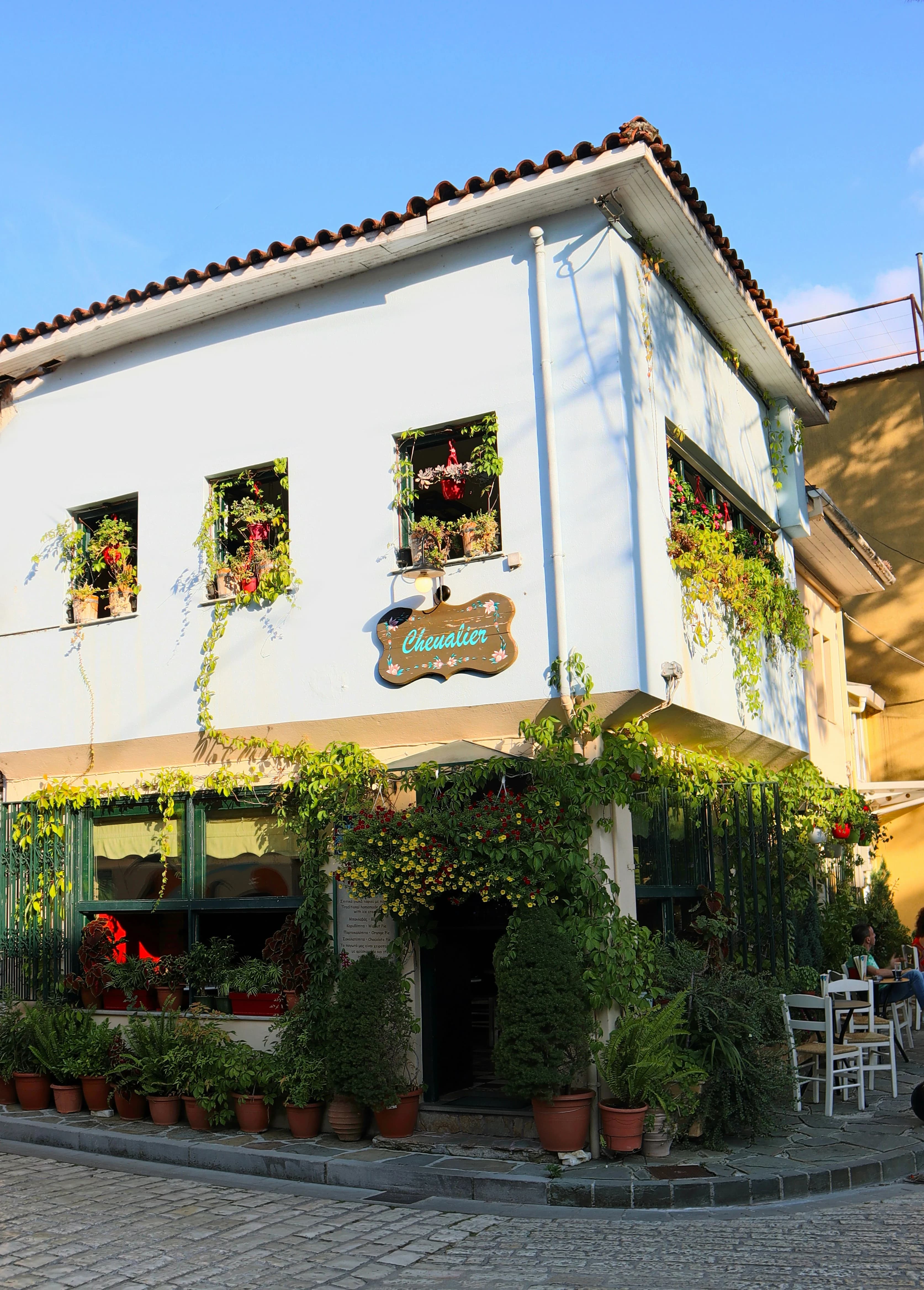 Café Google Ads case study showing in-person visits